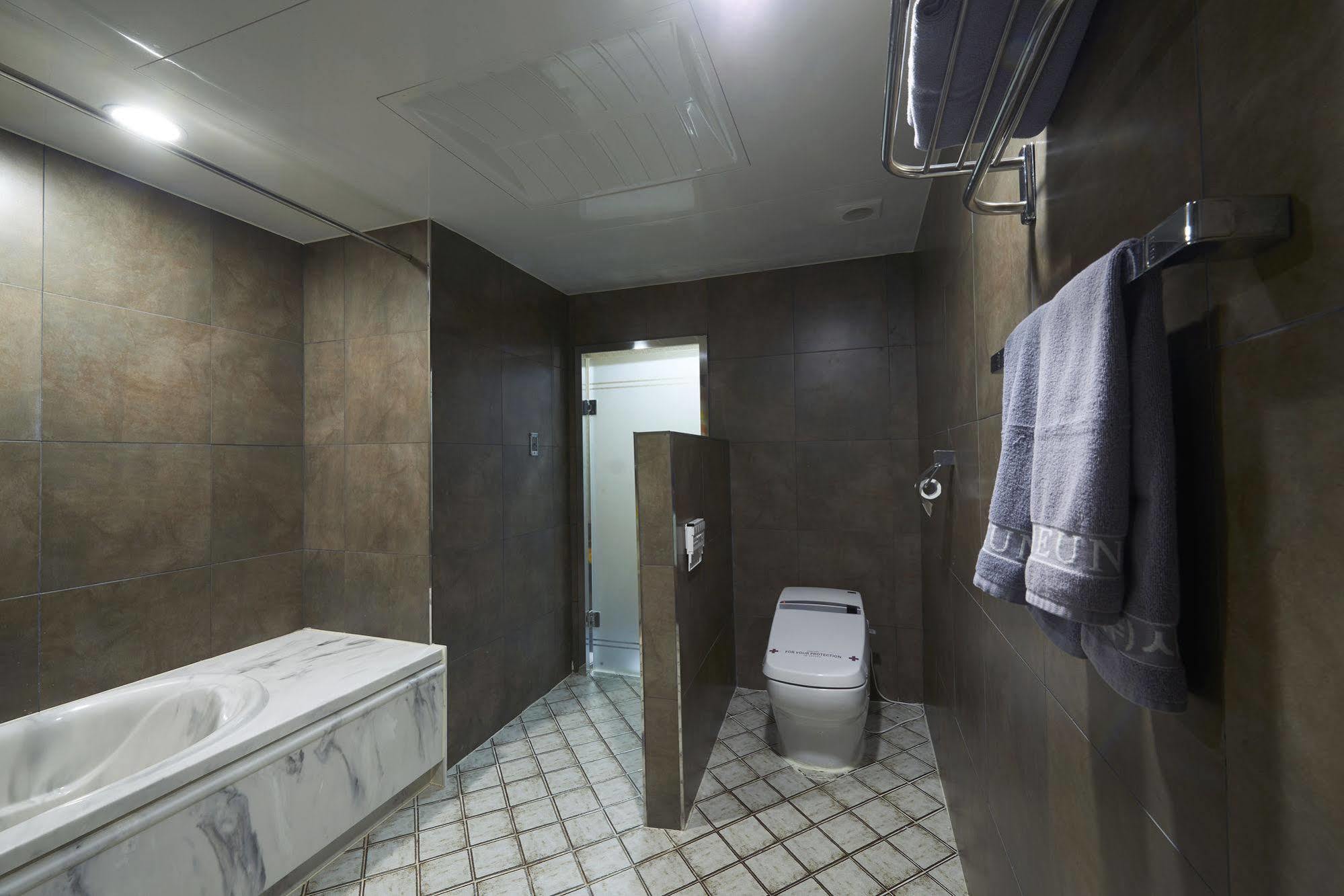 Benikea Premier Hotel 始兴市 外观 照片